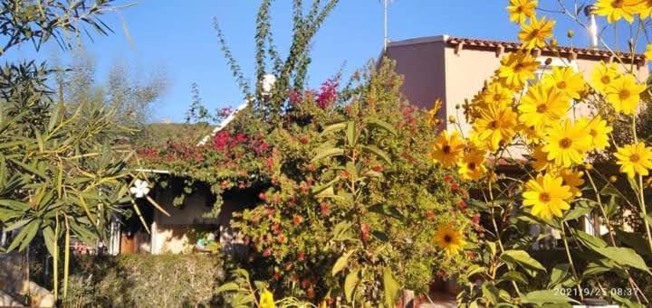 Apartament Spiti Lou Notos Pokój zdjęcie